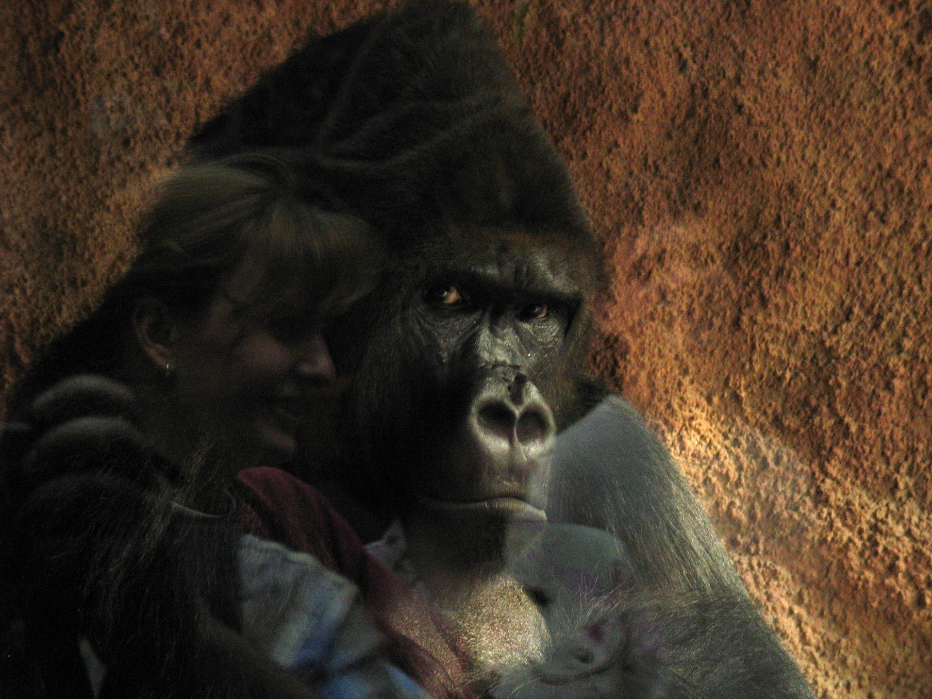 45 let encykliky o Božím milosrdenství